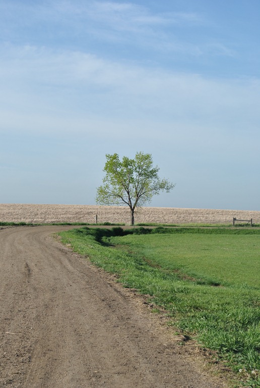 [South-Dakota-Missions-Trip-0023.jpg]