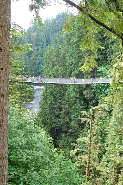[DSC_0137%255B5%255D.jpg]