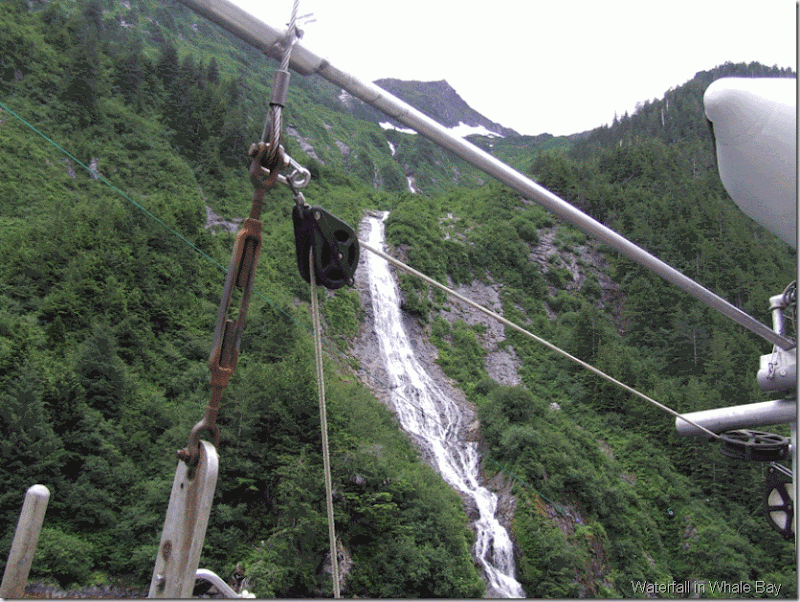 Waterfall in Whale Bay