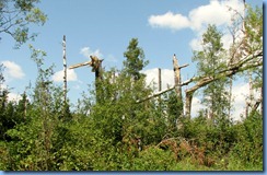 2214 Manitoba Lake Audy Rd West Riding Mountain National Park - recent tree damage