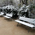 Parc de Belleville : bancs publics