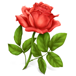 [rose-icon_104912906%255B12%255D.png]