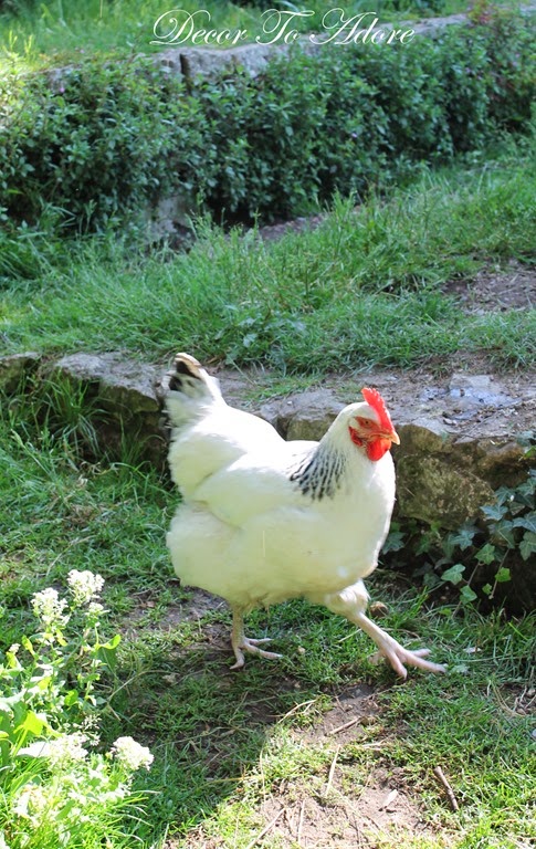 [Monet%2527s%2520Garden%2520036%255B3%255D.jpg]