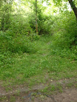 HPIM1318.JPG Photo