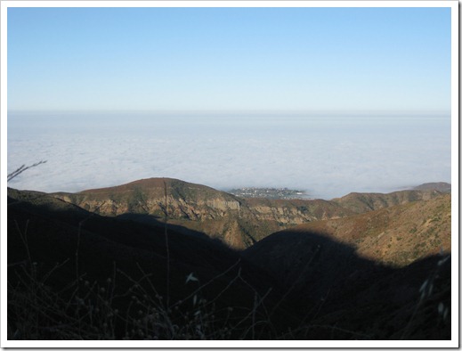 IMG_3415 IMG_3415