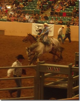 2011 Rodeo 019