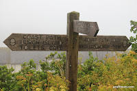 IMG_9320.JPG Photo