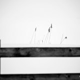 _DSC8362.JPG