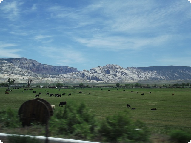 DSCF2071