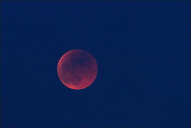 luna4dg