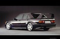 Mercedes-Benz-W201-30th-Anniversary-60 Mercedes-Benz-W201-30th-Anniversary-60