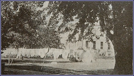 [b_113.jpg]