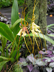 DSCN7557.JPG