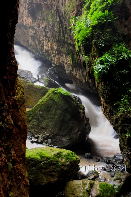 [DSC_5238%255B11%255D.jpg]