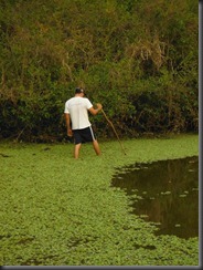 LL - anaconda hunting LL - anaconda hunting