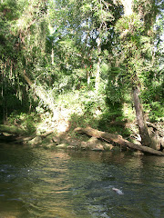 Fotos do evento Caiaque e ecoturismo no Tuim Parque. Foto numero 3808277400. Fotografia da Pousada Pe na Areia, que fica em Boicucanga, próximo a Maresias, Litoral Norte de Sao Paulo (SP).