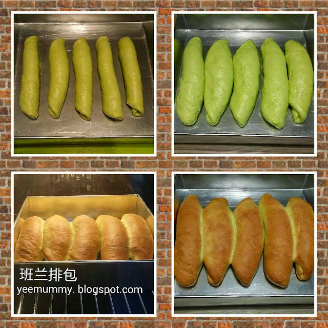 Pandan bread roll 班兰排包 Pandan bread roll 班兰排包