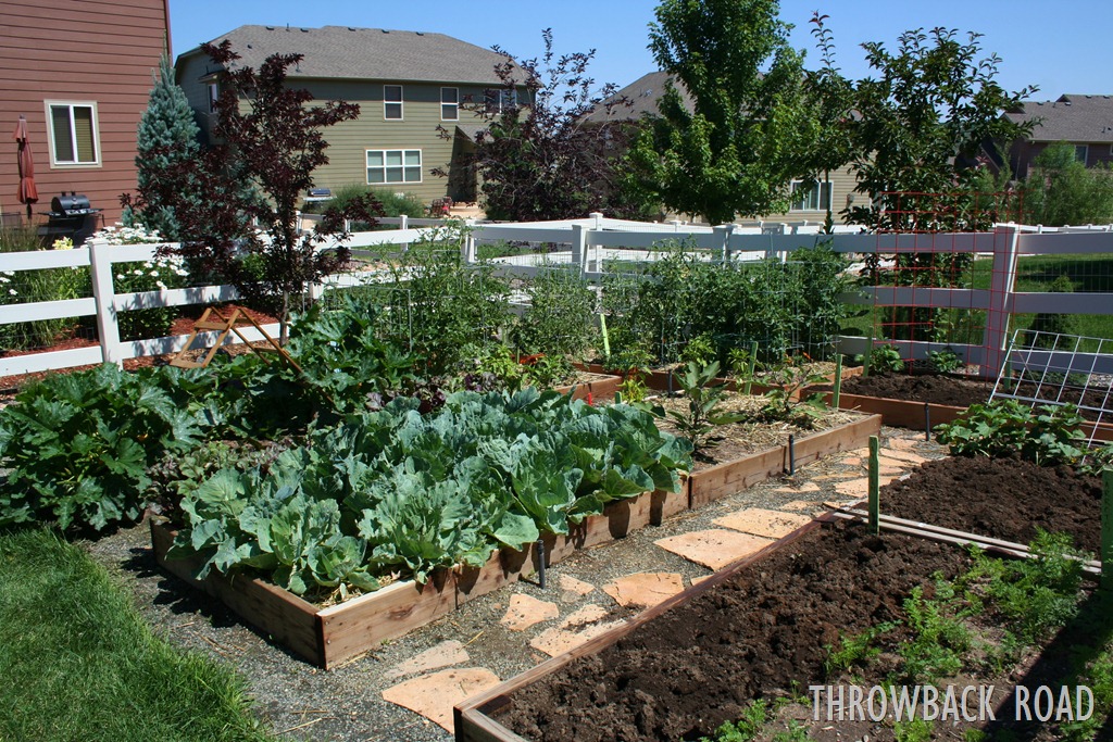 [garden%2520home%2520july%25202012%2520020%255B3%255D.jpg]