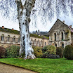 Borg Fontenay White Tree fattal 1 Layers Straightened.jpg