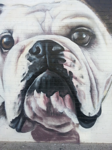 Bulldog Mural