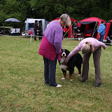 – Vinder vi også i dag?! - Dommeren sagde very nice dog!? – Vinder vi også i dag?! - Dommeren sagde very nice dog!?