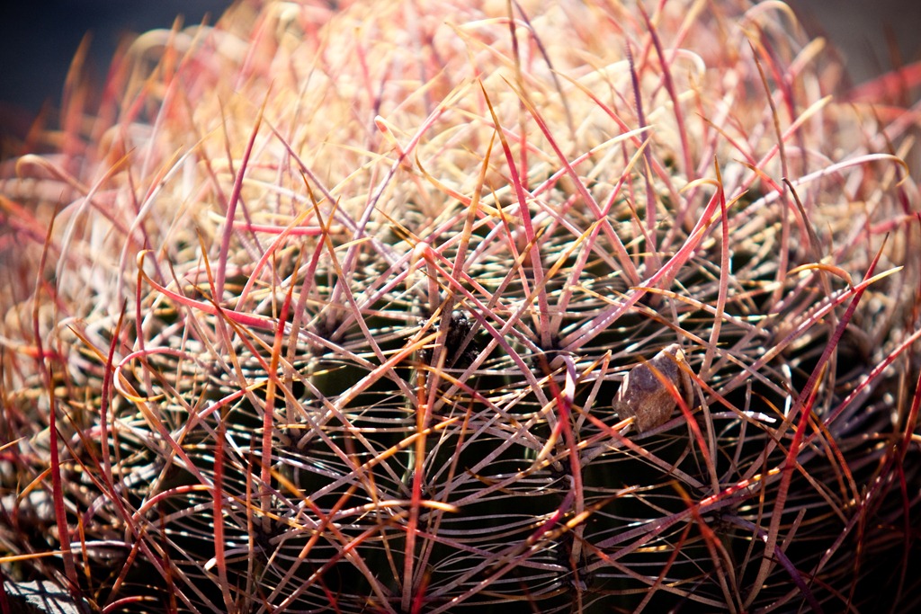 [20111231-IMG_0213%255B4%255D.jpg]