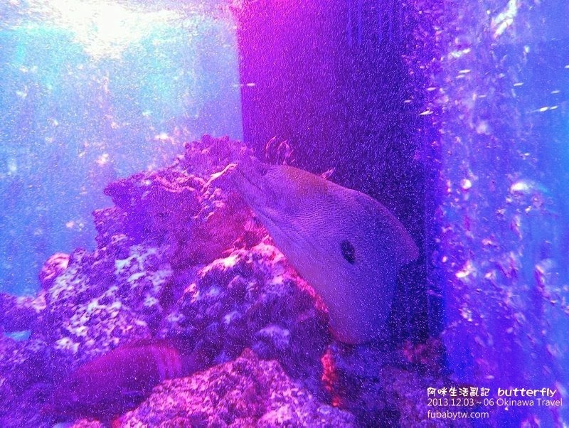 調整大小IMAG2148 調整大小IMAG2148