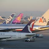 Nice mix of livery in the early light at PEK
