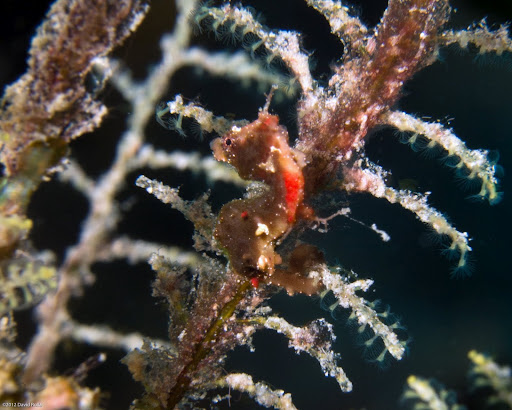 P7034519