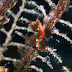 P7034519