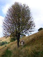 20070920_0046.JPG
