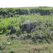 IMG_0079.JPG
