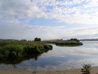 deltolet-12.jpg