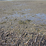 IMG_0912.jpg