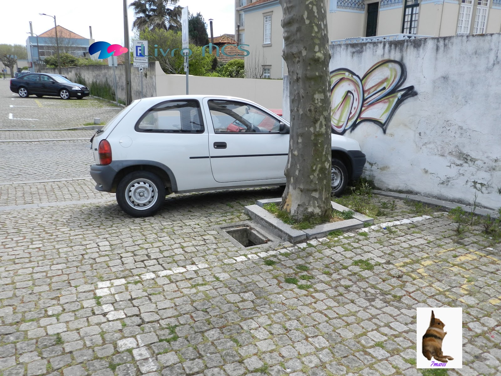 [Bolg%2520Gazeta%2520de%2520Espinho004%2520Livro%2520MCS%255B3%255D.jpg]