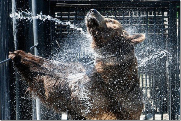 Belas imagens do verão (34)