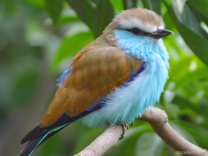 [tinta5%255B2%255D.jpg]