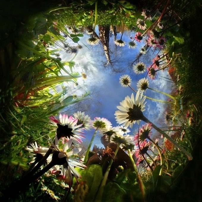 Magical Flowers, Magic And Spells