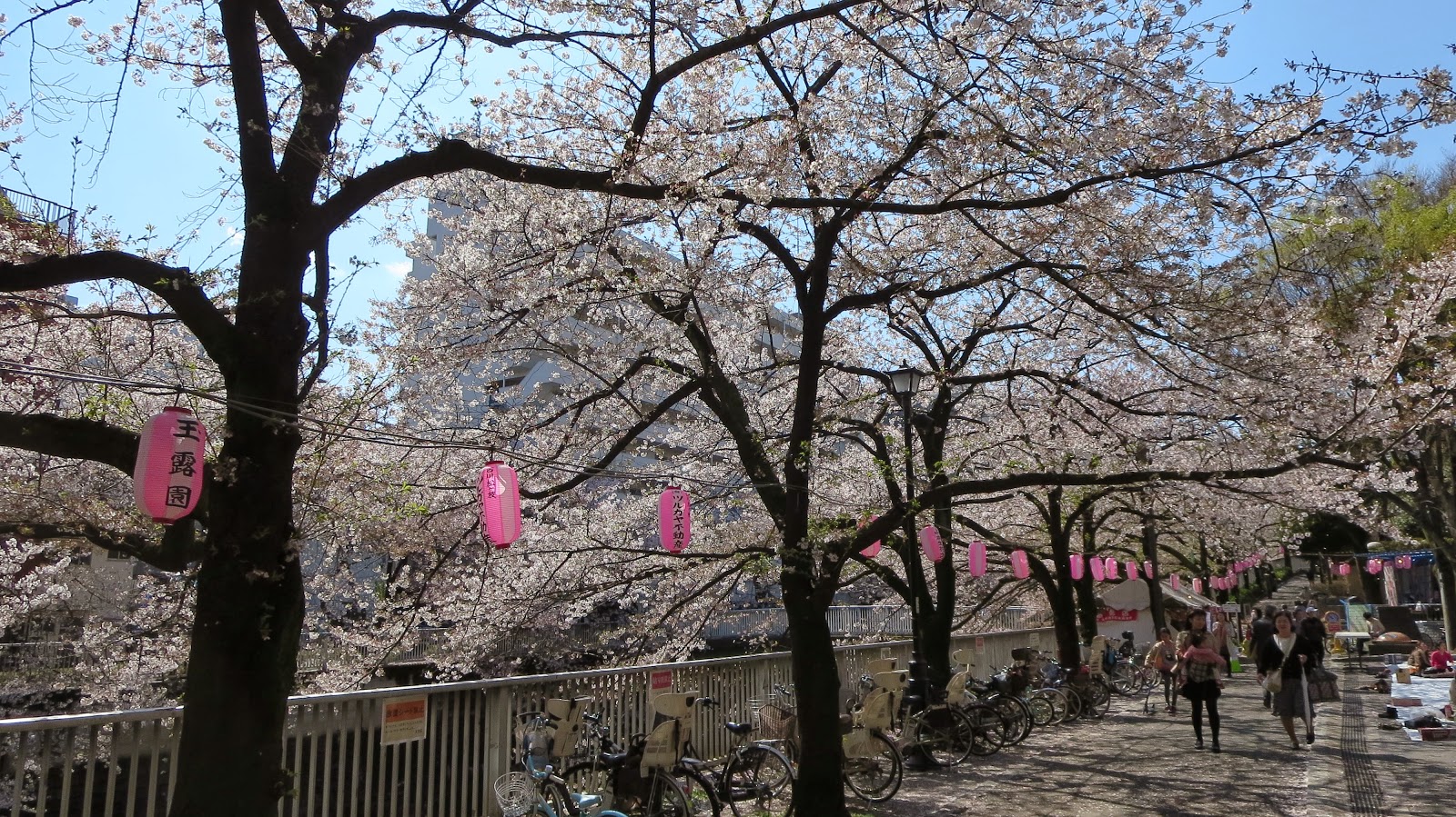 [IMG_0854%255B3%255D.jpg]