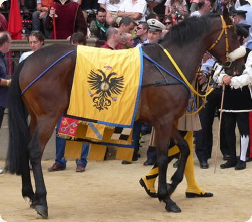 palio_di_siena6 palio_di_siena6