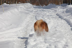 And just as fast - I'm off, again!