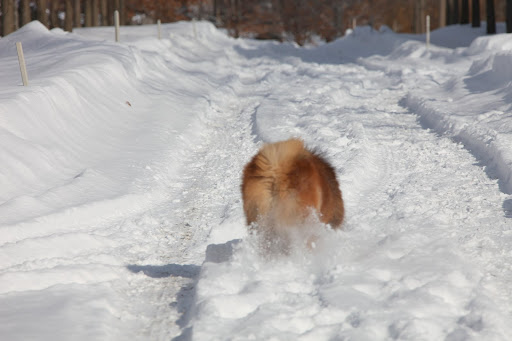 And just as fast - I'm off, again!