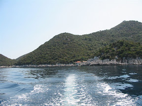 IMG_0003.jpg