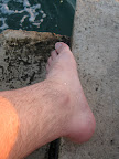 hobbit toes!!!