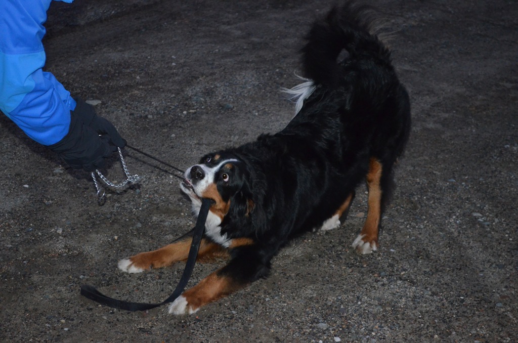 [DSC_0029%255B4%255D.jpg]