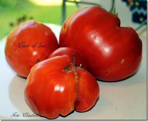 DSC_0015 DSC_0015