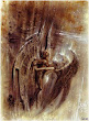 Silent Angel Lady