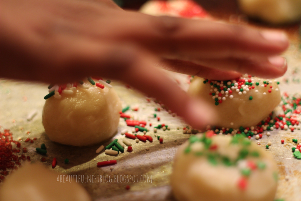 [Christmas%2520Cookies%2520for%2520santa%2520up%2520close%2520hand%2520pic%25202014%2520162%255B9%255D.png]