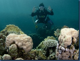 IMG_0230 IMG_0230