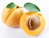 Apricot; objects on white background